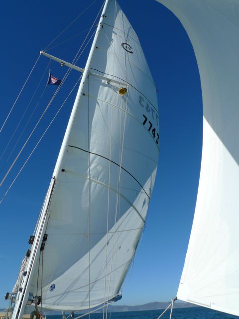 Photo Highlights: Santa Cruz Cruise