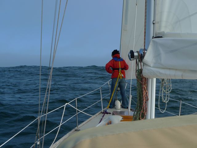 Photo Highlights: Santa Cruz Cruise