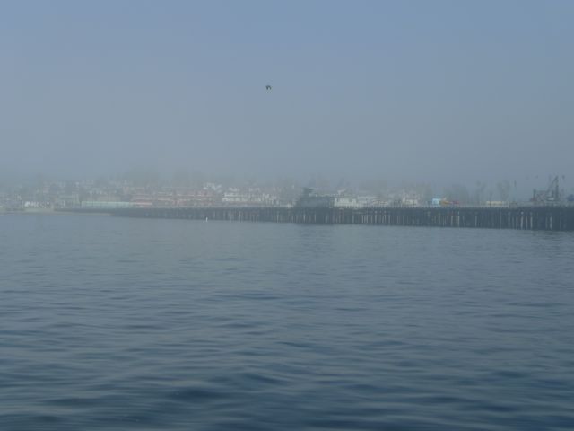 Photo Highlights: Santa Cruz Cruise