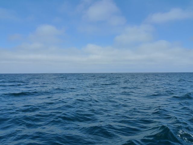 Photo Highlights: Santa Cruz Cruise