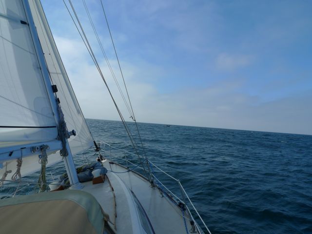 Photo Highlights: Santa Cruz Cruise