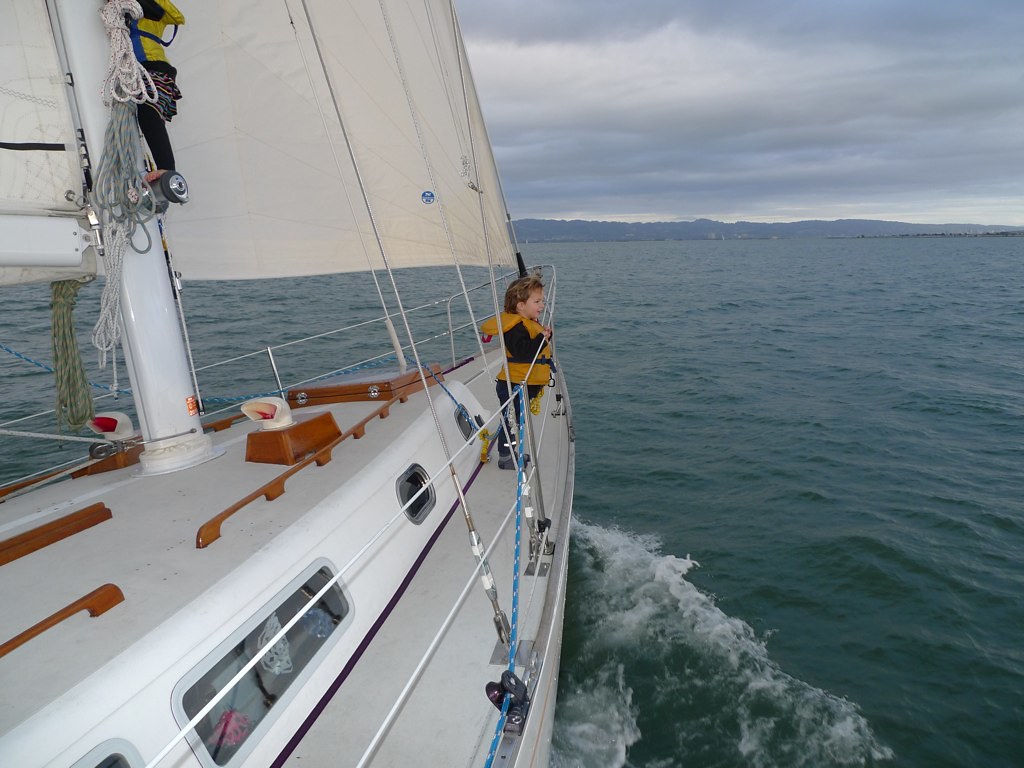 Merry Christmas from s/v Convivia
