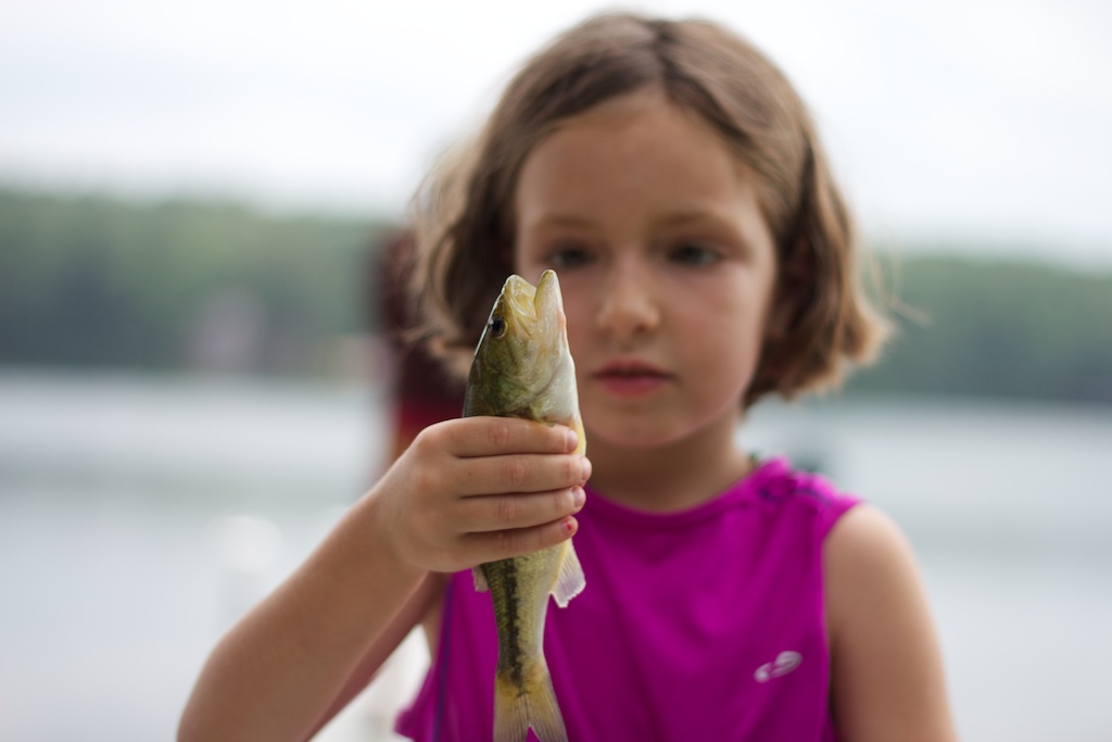 Maine Vacation 2011 in Photos