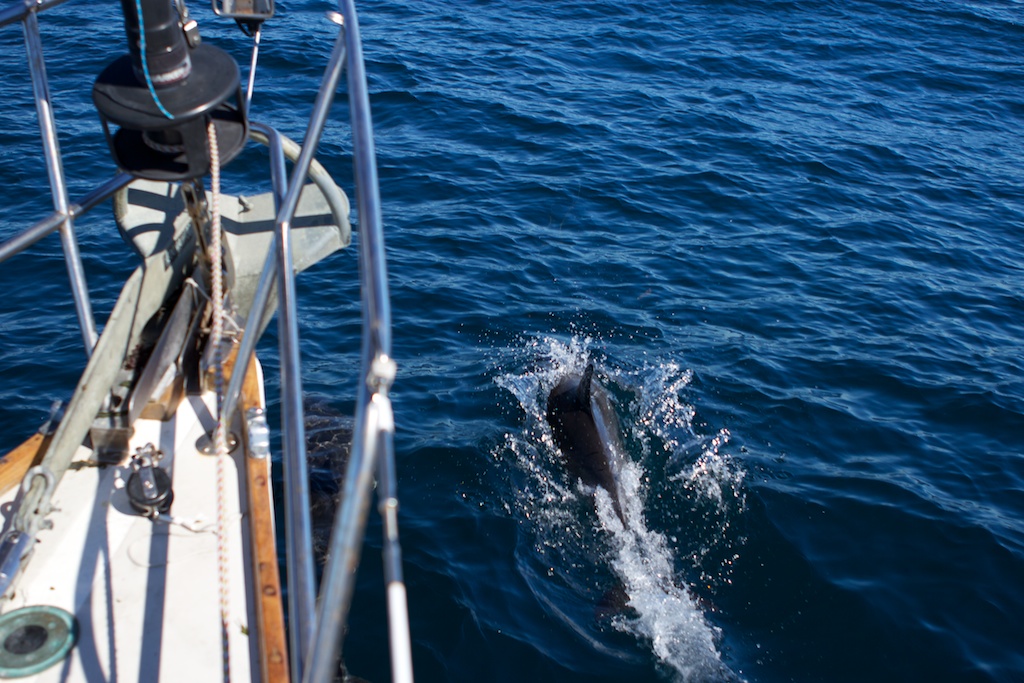 Culyer's Bay to Ventura in Photos
