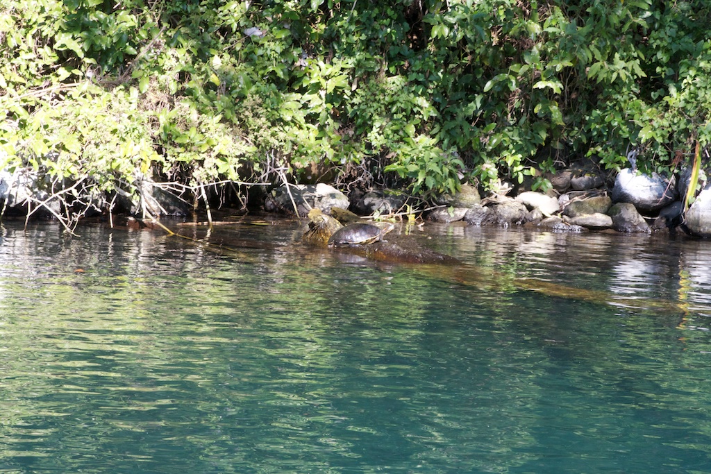 San Blas