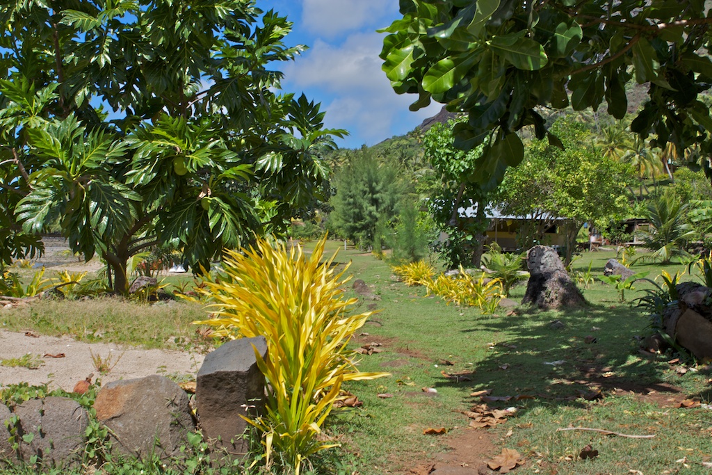 Taiohae and D'Anaho Bays
