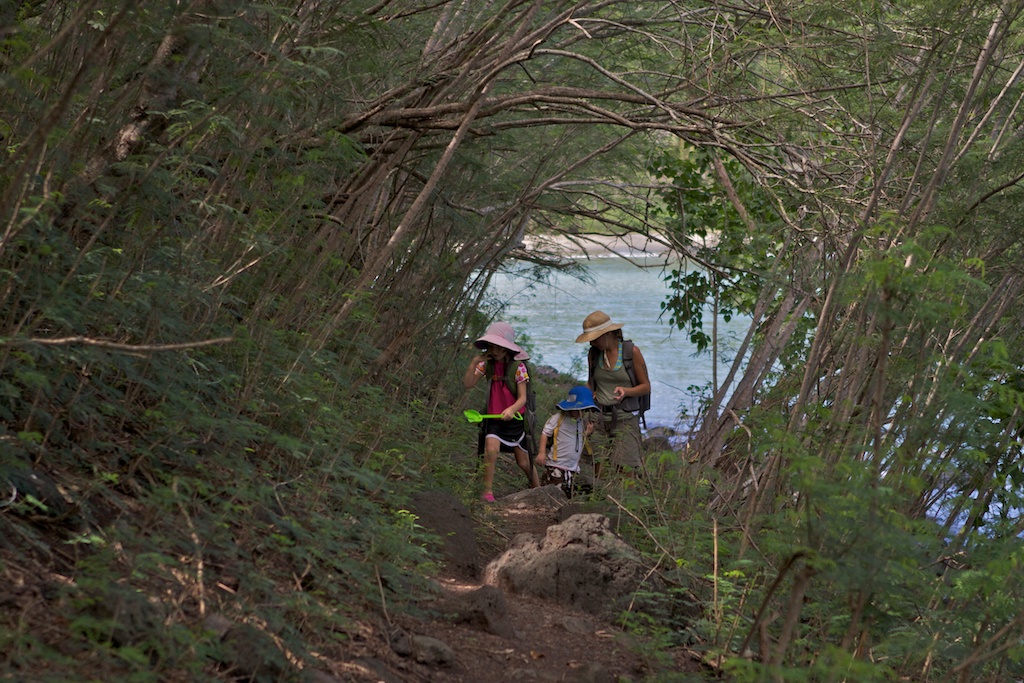 Daniel's Bay: Aka Survivor 4 beach