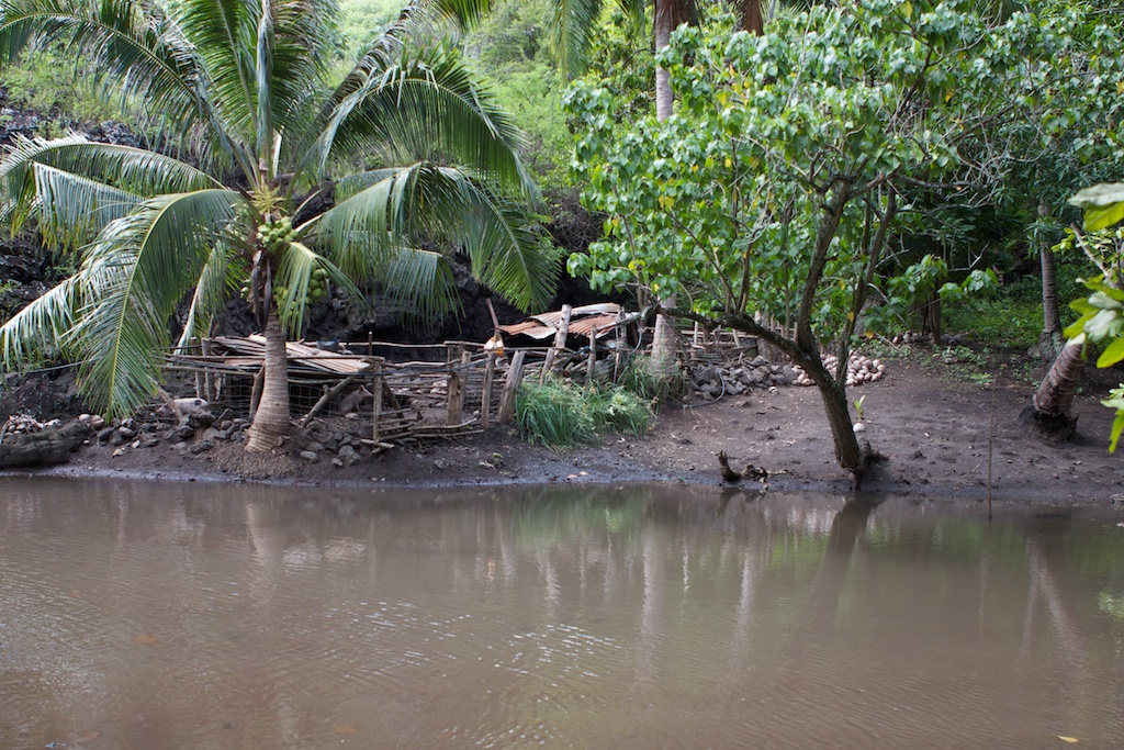 Daniel's Bay: Aka Survivor 4 beach