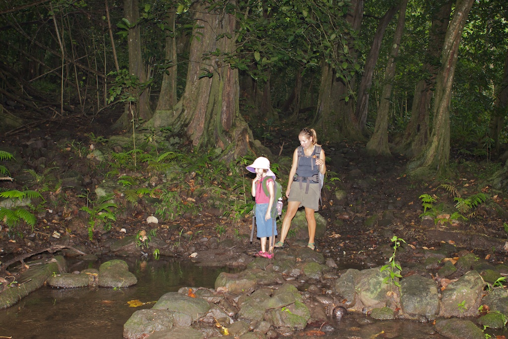 Vaipo Waterfall