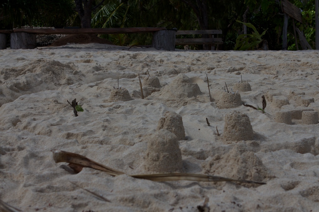Mystery Island