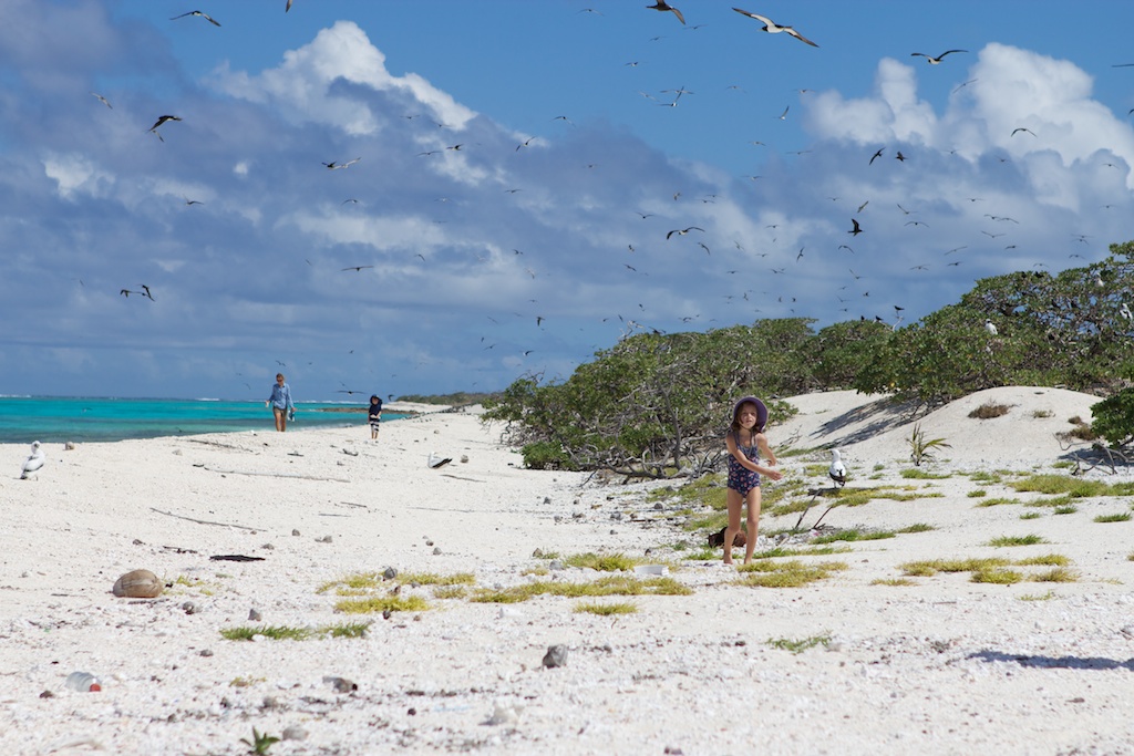 Photos: Port Vila, Vanuatu & Chesterfield Reef, New Caledonia