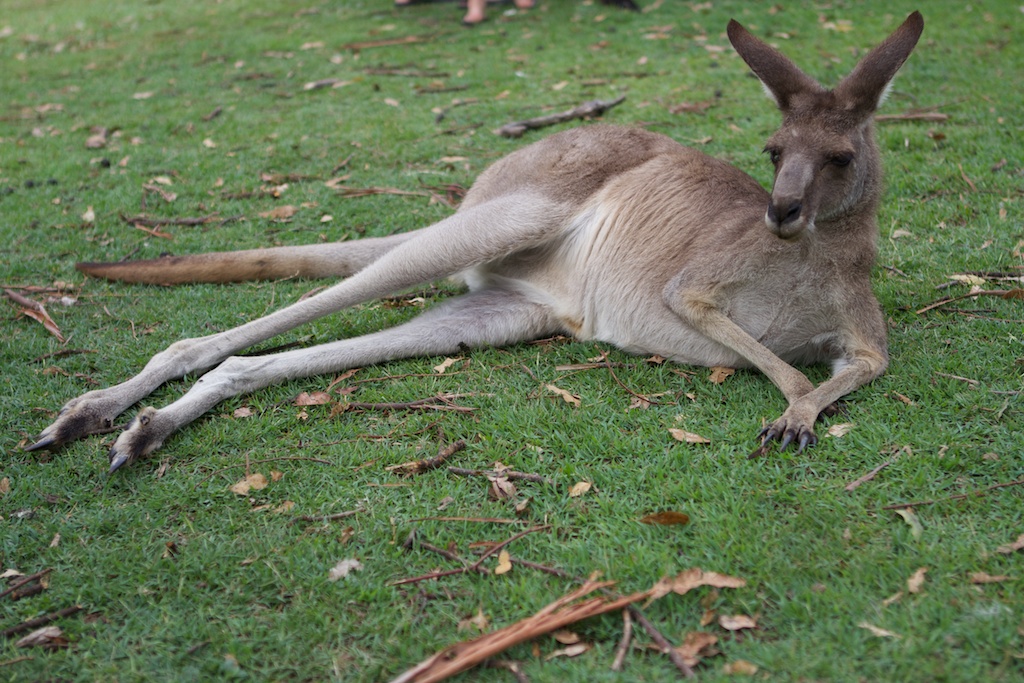Australia 2012 Recap in Photos